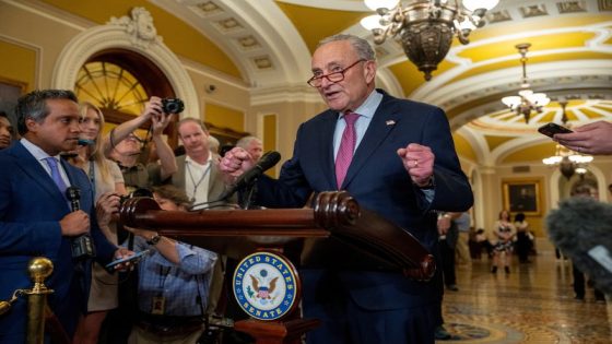 Schumer told Biden he should end reelection bid, ABC News reports – MASHAHER