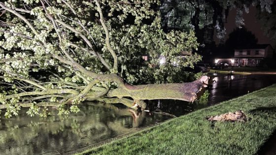 Indiana resident killed as severe weather tore through Chicagoland Monday night – MASHAHER