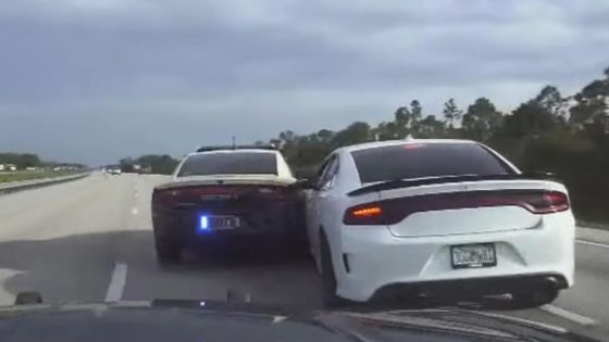 Florida Trooper Pitted By Suspect In A Dodge Charger – MASHAHER