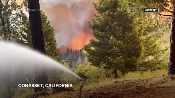 Father and son ‘survive the onslaught’ of ferocious California wildfire, saving historic family home – MASHAHER