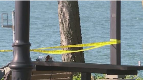 11-year-old boy pulled from Lake Erie identified – MASHAHER