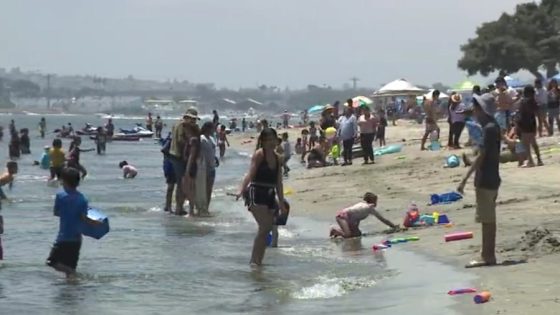 San Diego beach parking lots, Fiesta Island reach capacity – MASHAHER