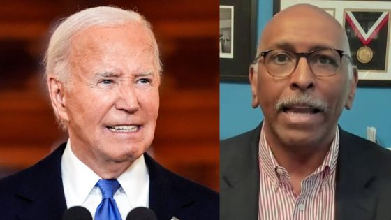 To win over Democrats, Biden must get his party to ‘shut the hell up’: Steele – MASHAHER