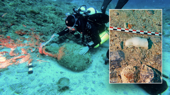 Divers discover ‘hidden treasures’ during expedition to eerie ancient shipwreck – MASHAHER