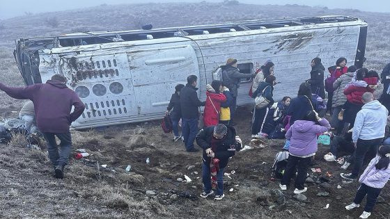 Buses carrying Chinese tourists veer off New Zealand road in 2 crashes at the same spot. 15 hurt – MASHAHER