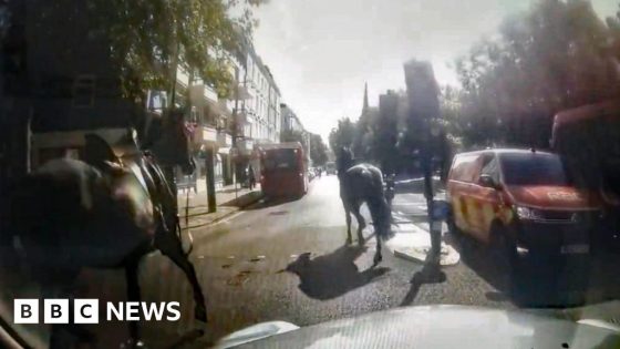 Runaway Household Cavalry horses on loose again in central London – MASHAHER