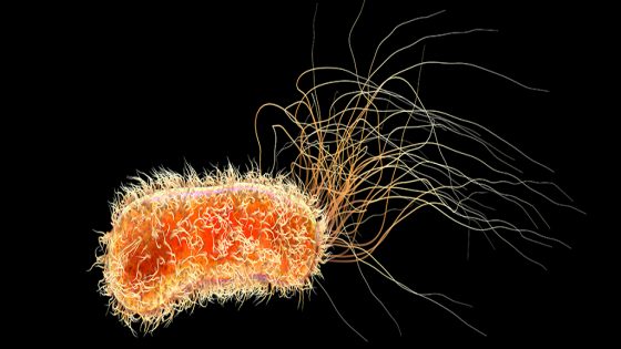 Lethal Secret of One of The World’s Deadliest Pathogens Finally Revealed – MASHAHER