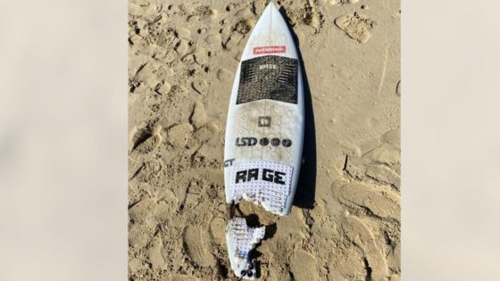 ‘Spot something missing’: shark victim’s lost leg joke – MASHAHER