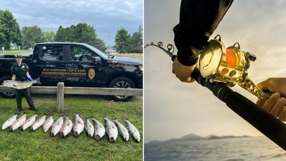 Angler arrested after catching 14 oversized fish: ‘Caught red-handed’ – MASHAHER