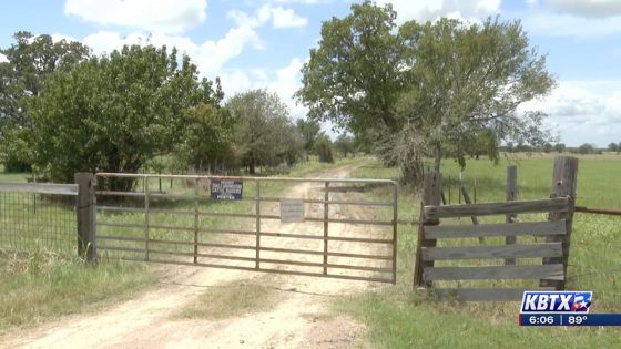 Texas man, 75, dies after being stung by dozens of bees while bulldozing trees on his property – MASHAHER