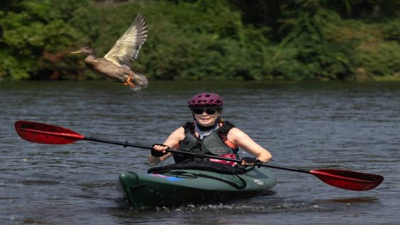 See triathletes race along the American River as historic event returns to Sacramento area – MASHAHER