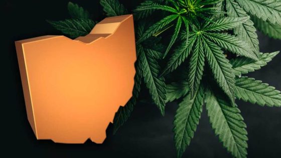 Ohio issues first recreational marijuana licenses – MASHAHER