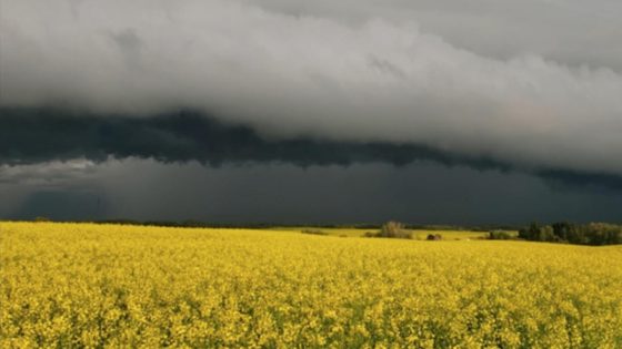 Conducive conditions for severe storms remain at play on the Prairies – MASHAHER