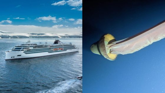 A luxury Viking cruise ship helped scientists encounter the rarely-seen giant phantom jellyfish – MASHAHER