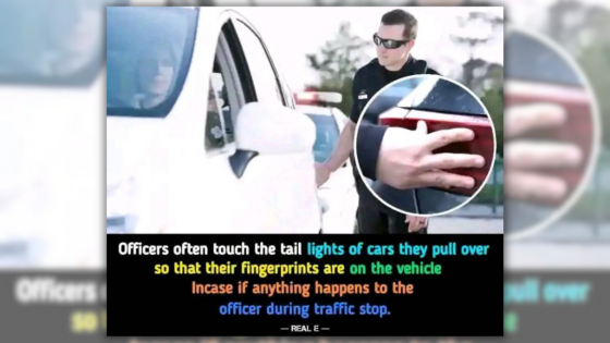 Police Officers Are Taught to Touch Taillights of Cars They Pull Over to Leave Fingerprints – MASHAHER