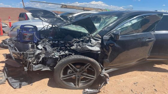 Woman involved in 23-vehicle crash near Algodones speaks out – MASHAHER