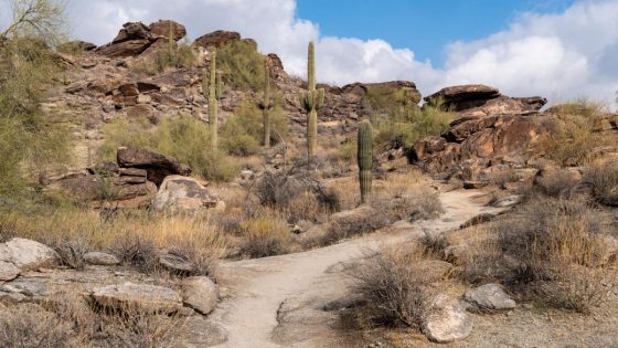 10-year-old boy dies in Arizona after four-hour hike in triple-digit temperatures – MASHAHER