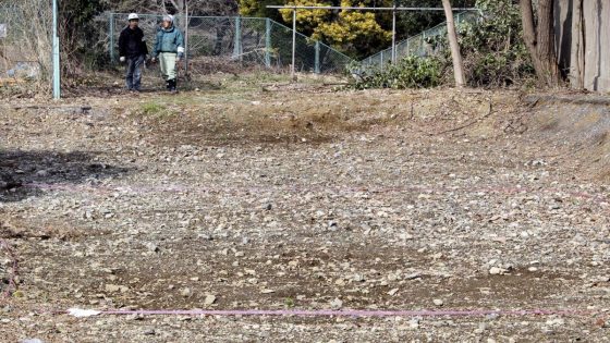 A mysterious pile of bones could hide evidence of Japanese war crimes, activists say – MASHAHER