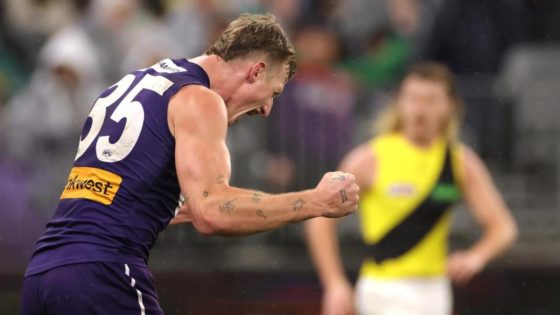 Treacy kicks five as Dockers bury Tigers in Perth – MASHAHER