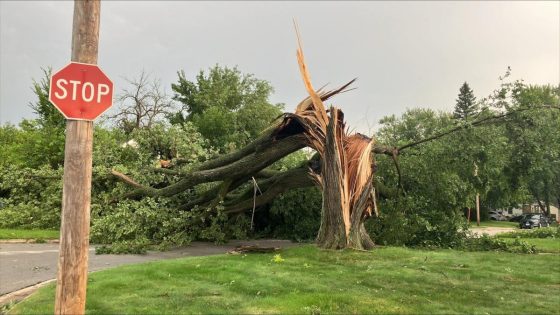 Heavy tree damage reported in northwest Des Moines metro after possible tornado – MASHAHER