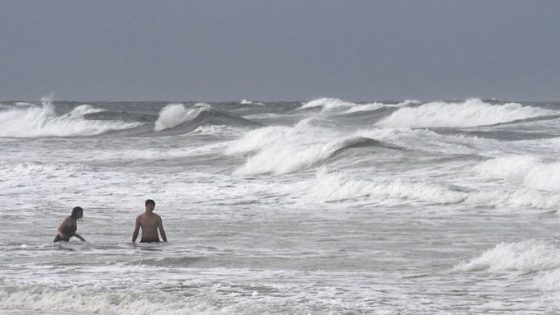 14-Year-Old Boy Dives into the Water – and Gets Bitten After Landing on a Shark – MASHAHER