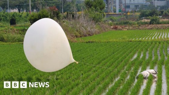 N Korea’s trash balloons land on S Korea presidential compound – MASHAHER