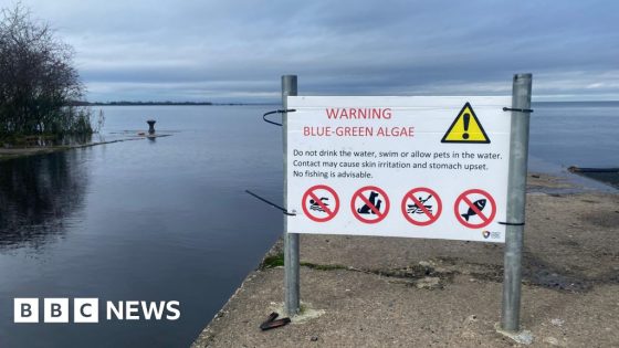 Lough Neagh plan of action to be outlined – MASHAHER