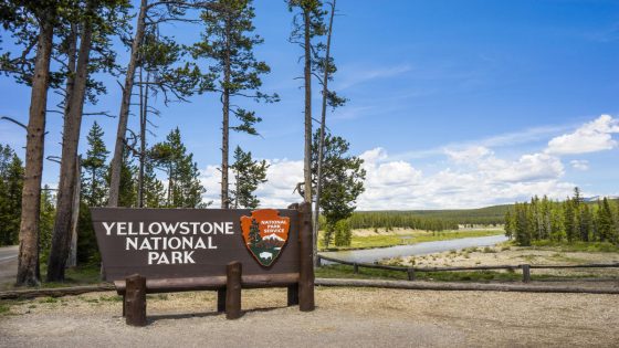 Suspect with gun dies after shootout with Yellowstone National Park rangers – MASHAHER