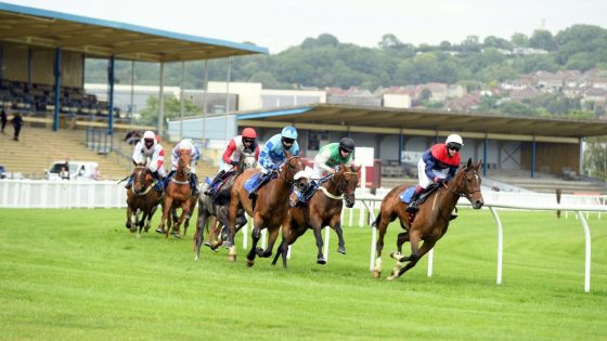 Newton Abbot horse deaths not linked, says BHA – MASHAHER