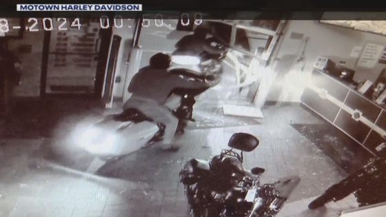 Over $100,000 in Harley Davidson bikes stolen as thieves crash through Taylor store – MASHAHER