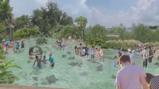 Brevard Zoo is closer to breaking ground on the Aquarium and Conservation Center Project – MASHAHER