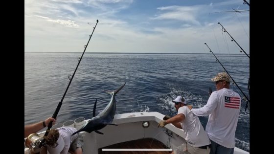 Blue marlin hits man during fishing trip near Orange Beach: ‘I couldn’t believe it’ – MASHAHER