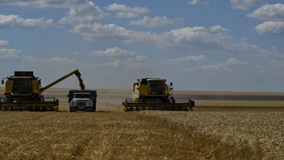 Ukraine seizes cargo ship, detains captain for exporting ‘looted’ grain – MASHAHER