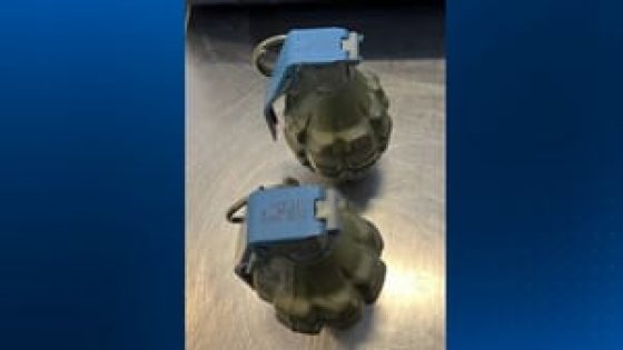 TSA removes 2 grenades from bag at Pittsburgh International Airport – MASHAHER