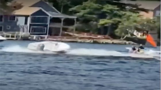 Video shows teen jump from moving watercraft to stop runaway boat in New Hampshire – MASHAHER