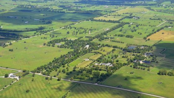 Lexington planners approve subdividing 1,000-acre Castleton Lyons horse farm. What’s next? – MASHAHER