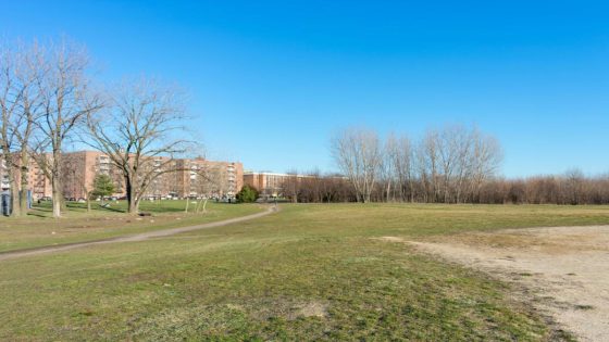 Community searches for answers after group destroys hundreds of protected trees for illegal bike track: ‘I’m shocked and sad’ – MASHAHER