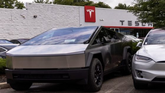 Tesla’s bleak margins sour investors as Musk hypes everything but cars – MASHAHER