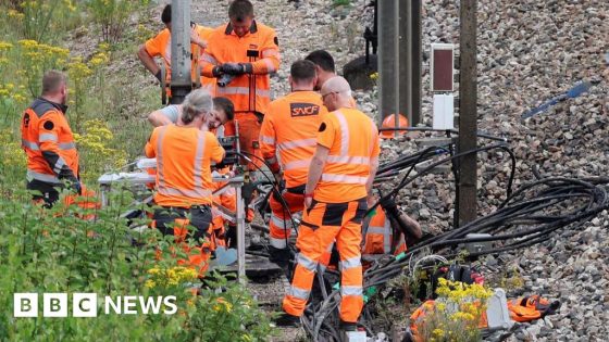 Man arrested in France over suspected railway vandalism – MASHAHER