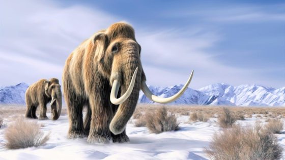 Scientists just made a big breakthrough with woolly mammoth DNA – MASHAHER