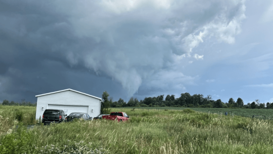 Tornado touches down in Western New York as Beryl remnants hit – MASHAHER