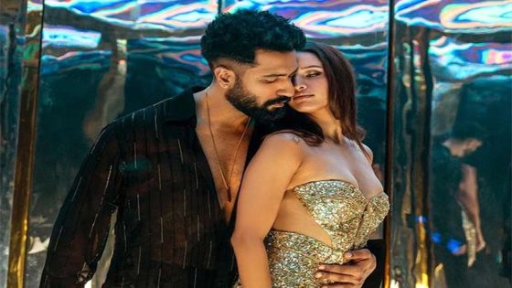 Bad Newz Advance Booking Update: Vicky Kaushal, Triptii Dimri starrer set for a good opening; sells 8500 tickets for Day 1 :Bollywood Box Office – MASHAHER