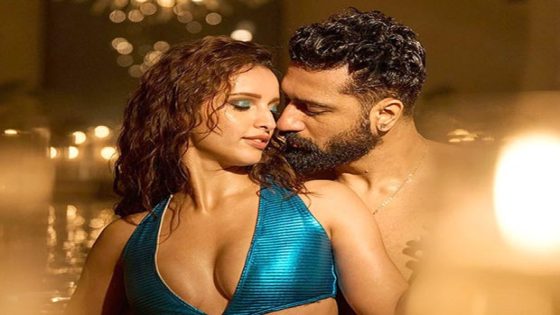 Bad Newz actors Vicky Kaushal and Triptii Dimri set screens ablaze with their chemistry in ‘Jaanam’ : Bollywood News – MASHAHER