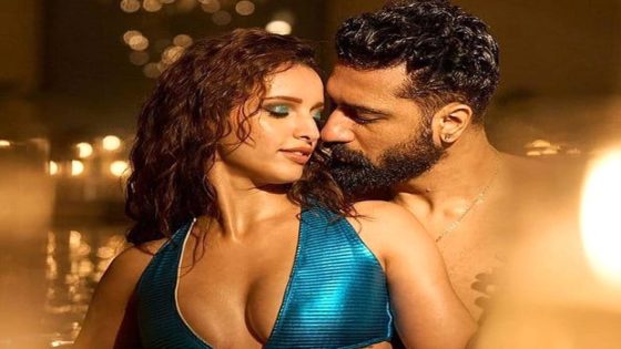 Bad Newz Box Office: Film does quite well over the weekend, emerges as Vicky Kaushal’s third biggest opening weekend grosser :Bollywood Box Office – MASHAHER