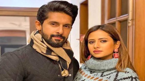 Ravi Dubey and Sargun Mehta open up about the perks of working together in the entertainment industry : Bollywood News – MASHAHER