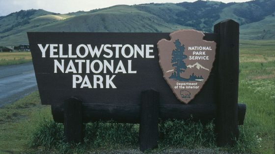 Yellowstone National Park ranger injured in shooting – MASHAHER