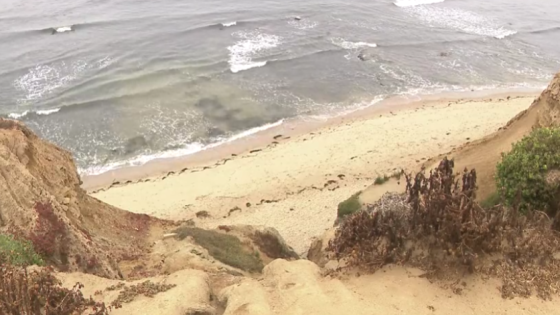 Underground rave at Sunset Cliffs dispersed by San Diego police – MASHAHER