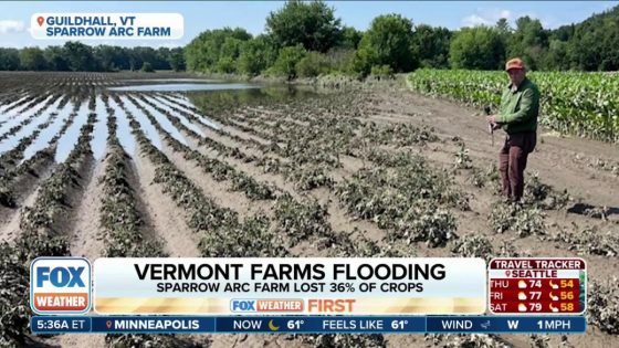 Vermont farms face another round of devastating flooding for second summer in a row – MASHAHER