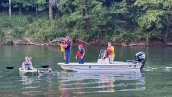 Man falls out of kayak on GA river, comes face-to-face with an alligator – MASHAHER