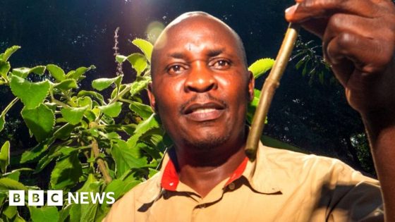 The Kenyan plant specialist making the case for traditional African medicine – MASHAHER